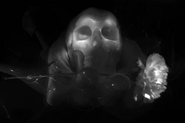 istock Hand Holding Skull With Flower 1189225581