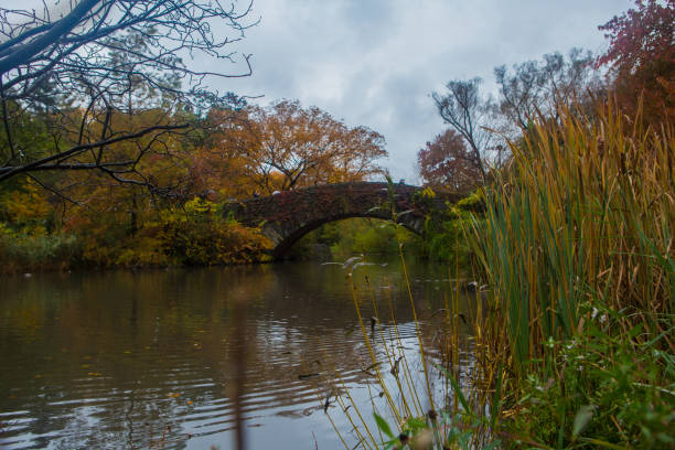 New York, USA, April 10, 2023 - The Bow Bridge crossing over the Lake in Central Park, New York City.