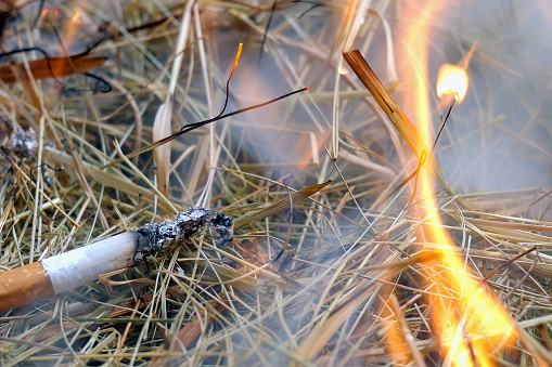 Hay ignites from throw cigarette butt and burns in flame and smoke. Concept of fire safety violation rule or careless handling with fire. Close-up. Outdoors.