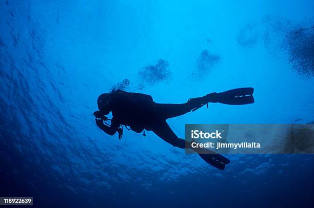 Scuba Nurkowanie - zdjęcia stockowe i więcej obrazów Los Roques - Los Roques, Morze, Bez ludzi