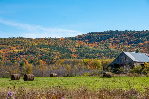 istock Fall colors in the North country NY 1189228695