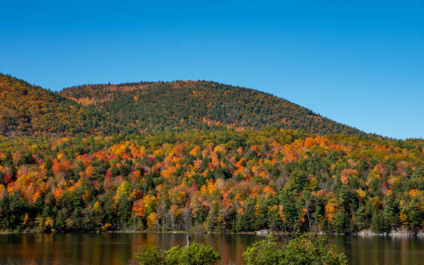 istock Fall colors in the North country NY 1189228763
