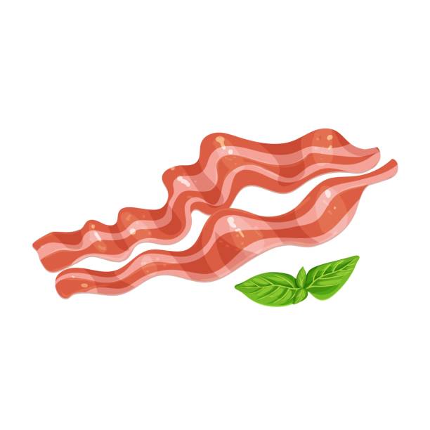 Fried pork bacon Fried bacon, keto diet concept. Two slices of pork bacon, meat icon for butcher shop. Vector illustration. bacon stock illustrations