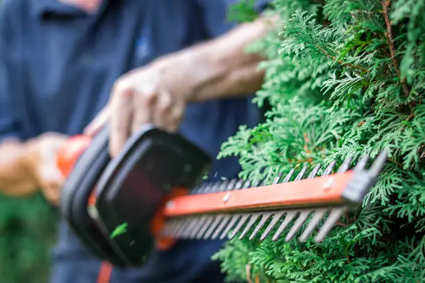 Photo of Gardener trimming overgrown green bush by electric hedge clippers. Selective focus, motion blur.