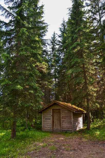 istock Cabin in the woods 1189229959