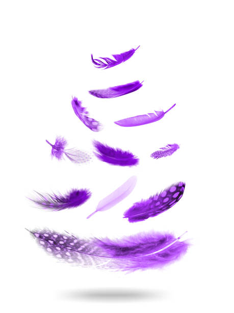 istock color flying feathers. Isolated on white background. 1189231155