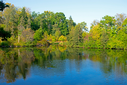 Small lake in Duke Farms, New Jersey, lined with trees sporting early autumn colored leaves