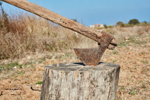 istock A axe stuck in a piece of wood 1189237715