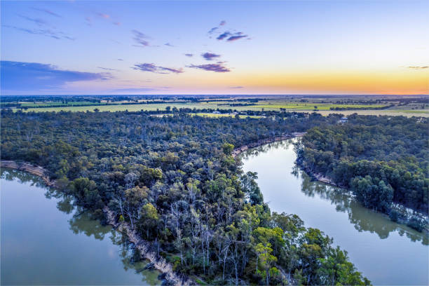 istock Murray River bends among trees at dusk - aerial landscape 1189241913