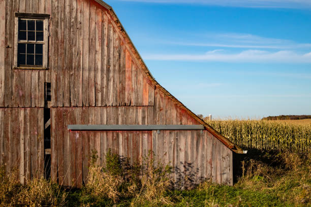 A small, old wooden building sits in a grassy field. The building is surrounded by trees and he is a barn. The scene is peaceful and quiet, with the only sounds being the rustling of the trees