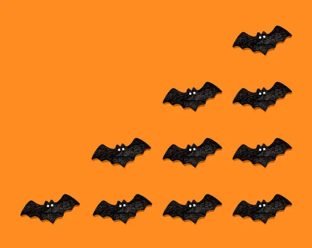 Photo of Set of black bats isolated on orange color background. Halloween ornament is colorful Tones.