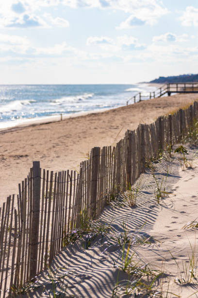 Bright beach and sand dune protection fence Protective fencing along sand dunes of public/private beach at the ocean the hamptons photos stock pictures, royalty-free photos & images