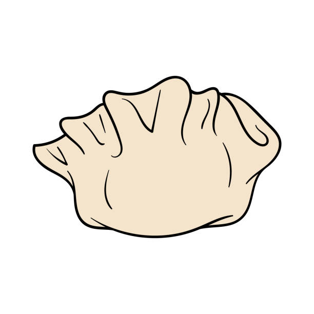 Cartoon Wonton Dumpling Vector Illustration Stock Illustration - Download  Image Now - Dumpling, Illustration, Art - iStock