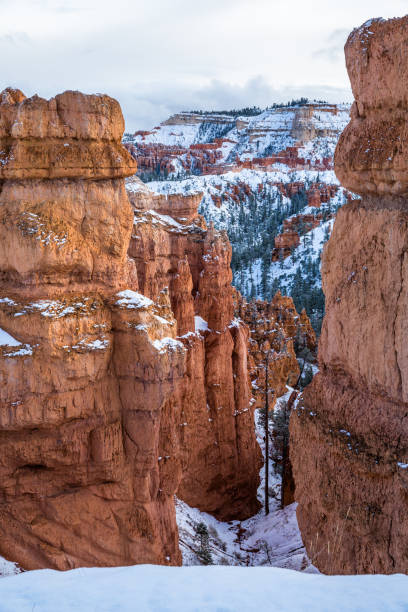 Photo of Narrow canyon through orange sandstone cliffs after winter snow in Bryce Canyon, Utah