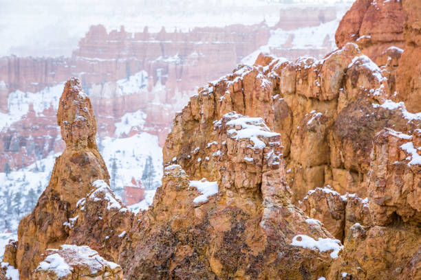 Photo of Snow and fog in Bryce Canyon winter storm in Utah.