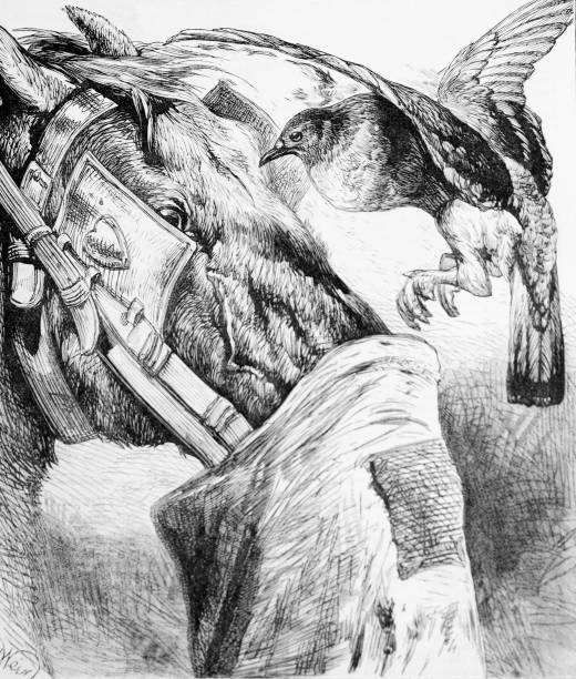 czarno-białe grawerowanie zwierząt i przyrody, około 1875 roku. koń z workiem na paszę i ptakiem - feedbag stock illustrations