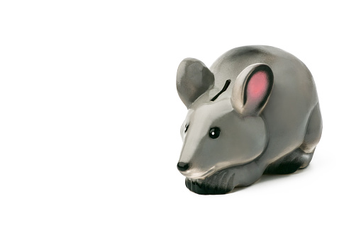 Isolate. Piggy Bank in the form of a gray mouse, gray mouse sits  on a white isolated background