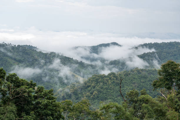 istock foggy landscape in the mountains 1189270495