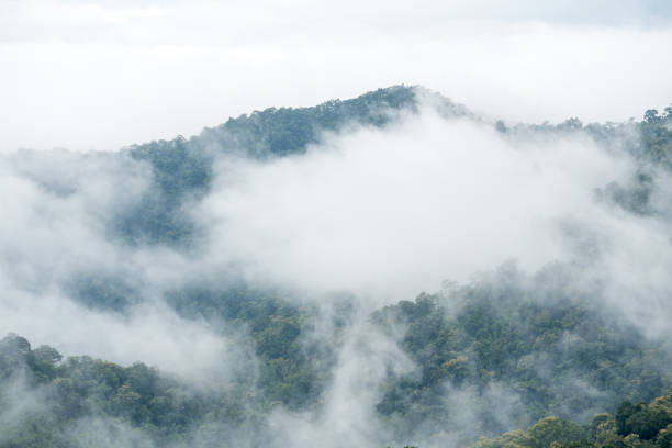 in the north of Thailand on a rainy day fog forms in the mountains