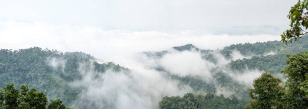 istock foggy landscape in the mountains 1189270503