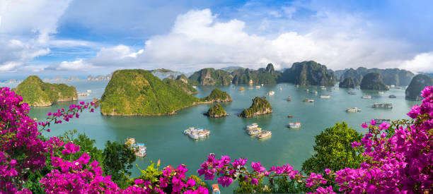 놀라운 하롱 베이와 풍경 - vietnam halong bay bay photography 뉴스 사진 이미지