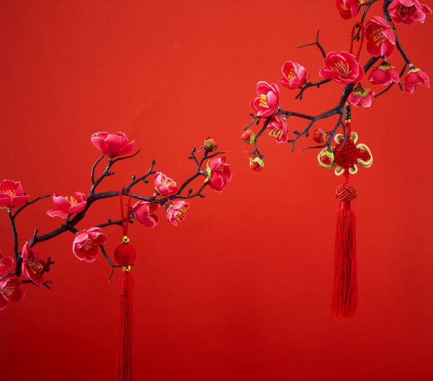 chinese new year's decoration for spring festival on red background - 5943 imagens e fotografias de stock
