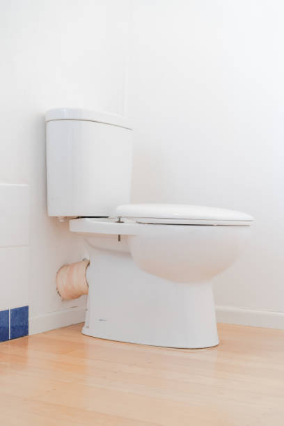 istock Toilet in house. 1189273089