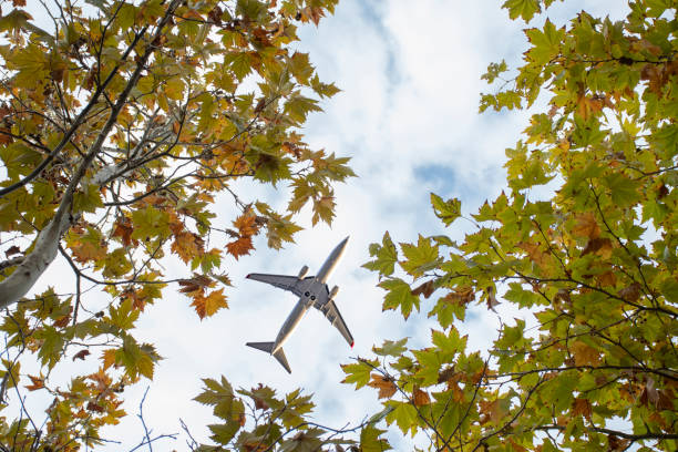 istock Airplane among the trees. Sky. Clouds. writing area 1189278542