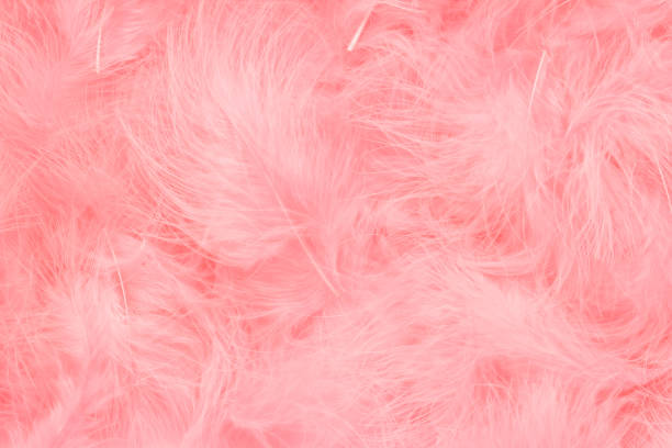 istock Beautiful coral pink trendy feather texture background. Soft and gentle pattern. 1189279793