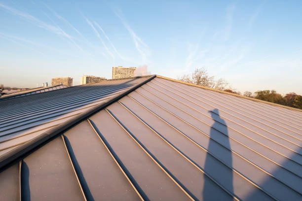 istock an zinc roof on a high building 1189282292