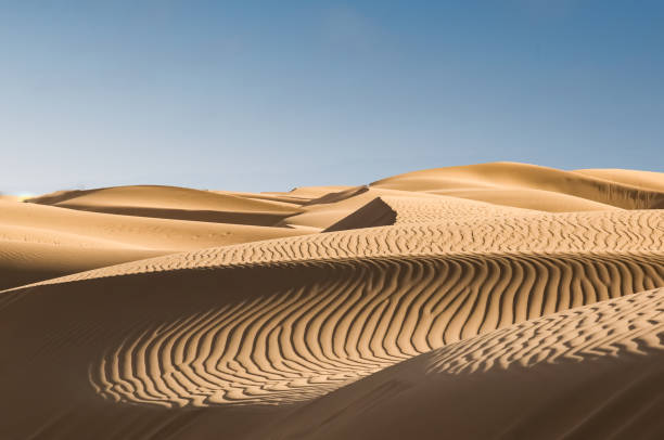 fascinating view of the sand dunes - clear sky sky sunny day isolated imagens e fotografias de stock