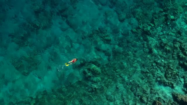 Snorkeling in clear turquoise sea