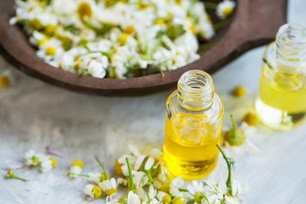 olej rumiankowy, butelki z rumiankiem z kwiatami rumianku - chamomile plant daisy spa treatment chamomile zdjęcia i obrazy z banku zdjęć