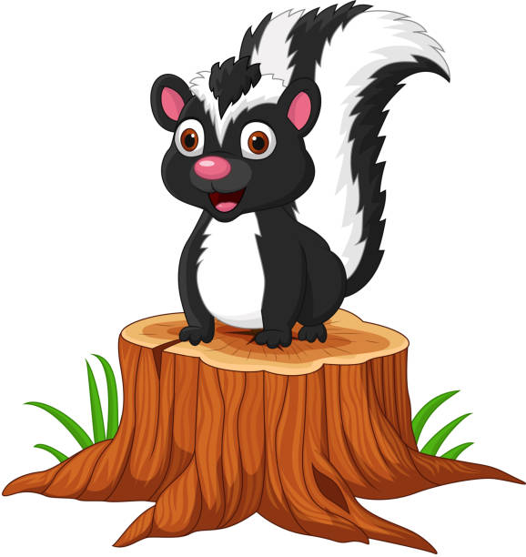 나무 그루터기에 앉아 만화 아기 스컹크 - skunk stock illustrations