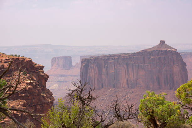 istock landscape in canyonlands National park 1189304016