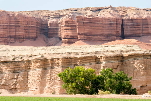 istock landscape in canyonlands National park 1189304051