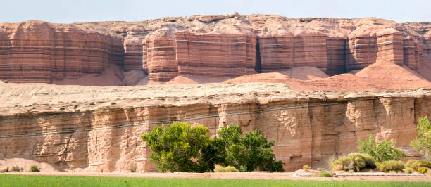 istock landscape in canyonlands National park 1189304075
