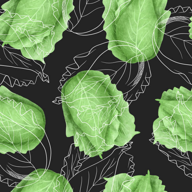 бесшовный узор с капустой - cauliflower vegetable black illustration and painting stock illustrations