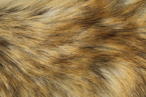 Textura de pelusa de fondo de color zorro cálido photo