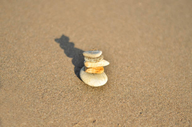 stones in a row on the beach