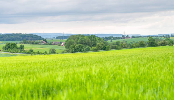 istock rural scenery in Hohenlohe 1189316835