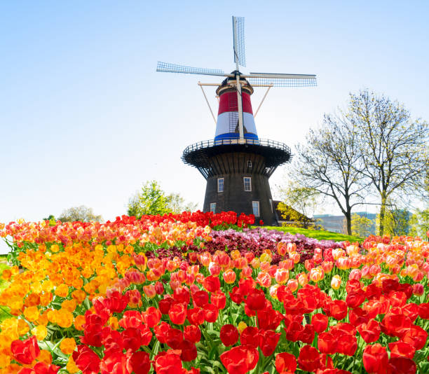 istock Windmill of Leiden 1189322137