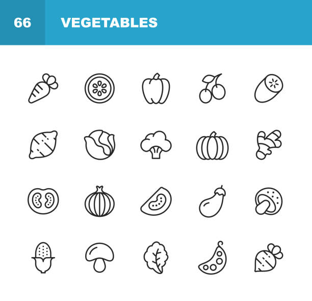 ikony linii warzywnych. edytowalny obrys. pixel perfect. dla urządzeń mobilnych i sieci web. zawiera takie ikony jak marchew, cytryna, pieprz, cebula, ziemniak, pomidor, kukurydza, szpinak, fasola, grzyb. - onion vegetable leaf spice stock illustrations