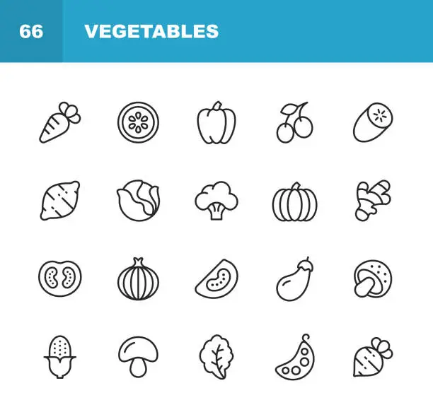 Vector illustration of Vegetable Line Icons. Editable Stroke. Pixel Perfect. For Mobile and Web. Contains such icons as Carrot, Lemon, Pepper, Onion, Potato, Tomato, Corn, Spinach, Bean, Mushroom.