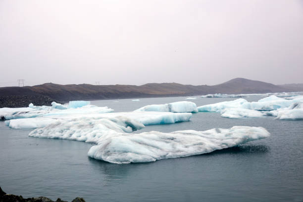 istock ice berg on the black sand beach in Iceland 1189326789