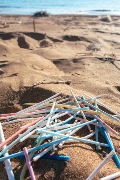 istock Lots of plastic ear sticks collected on the beach. 1189327051