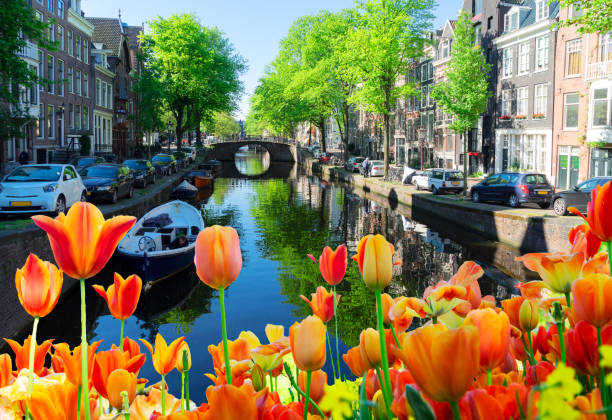 istock Houses of Amstardam, Netherlands 1189331401