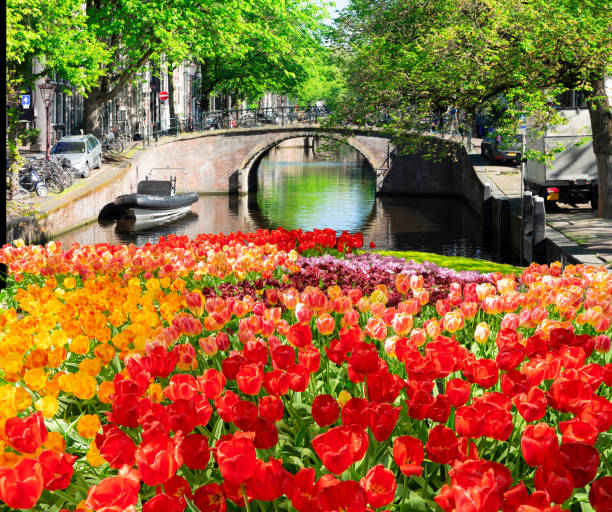 istock Houses of Amstardam, Netherlands 1189331897