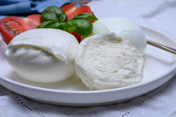 istock Cheese collection, organic mozzarella soft cheese served with ripe tomato and fresh green basil 1189334216