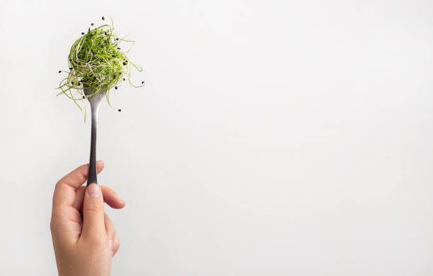 istock Woman holding microgreens on fork isolated on white 1189335737